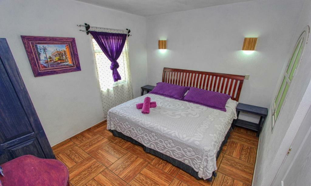 גואנאחואטו Hotel Spa Maggic Home Panoramica מראה חיצוני תמונה