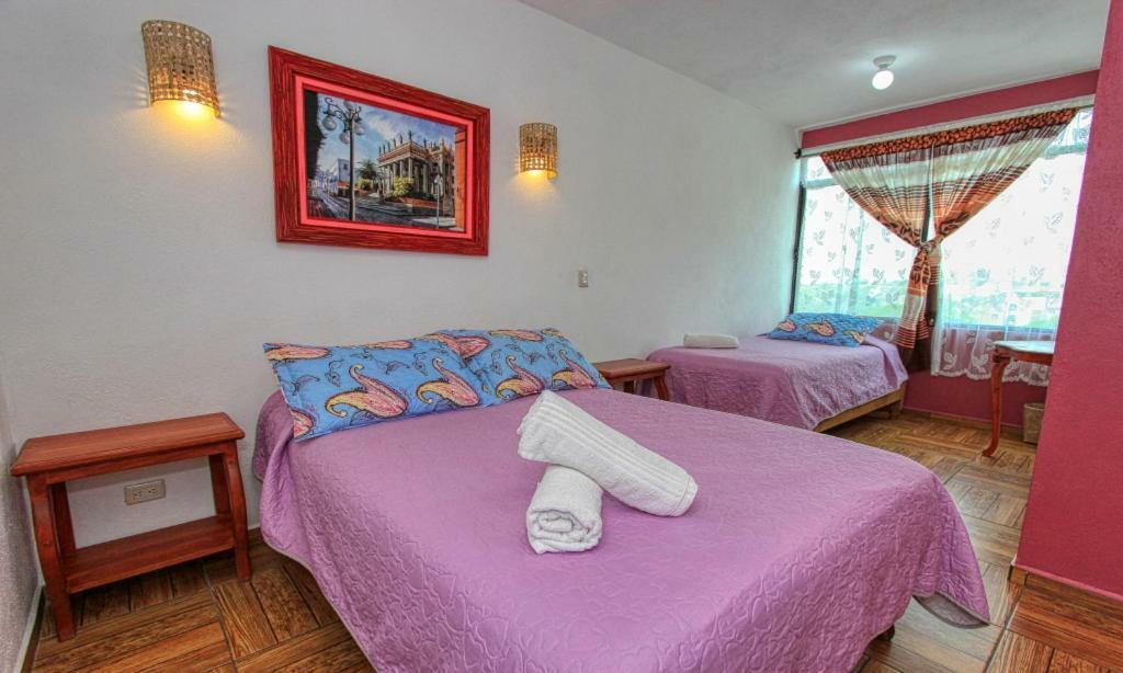 גואנאחואטו Hotel Spa Maggic Home Panoramica מראה חיצוני תמונה