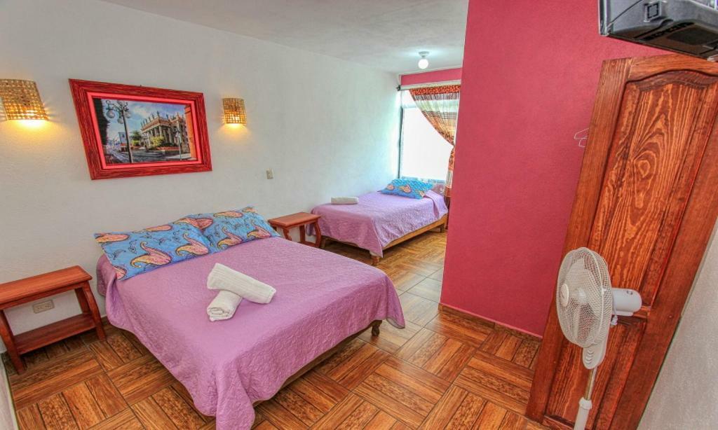 גואנאחואטו Hotel Spa Maggic Home Panoramica מראה חיצוני תמונה